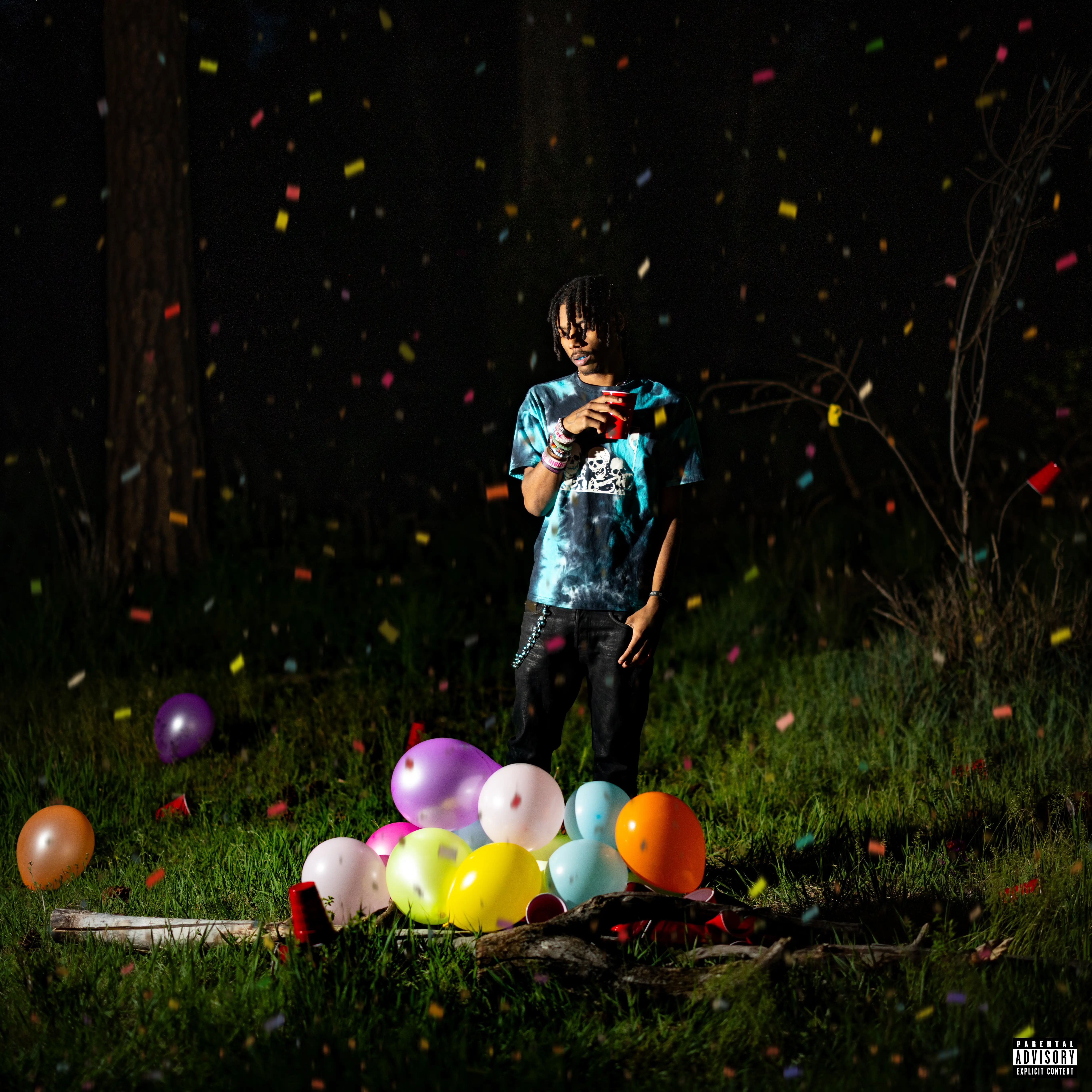 SOLITUDE IN SILENCE ALBUM